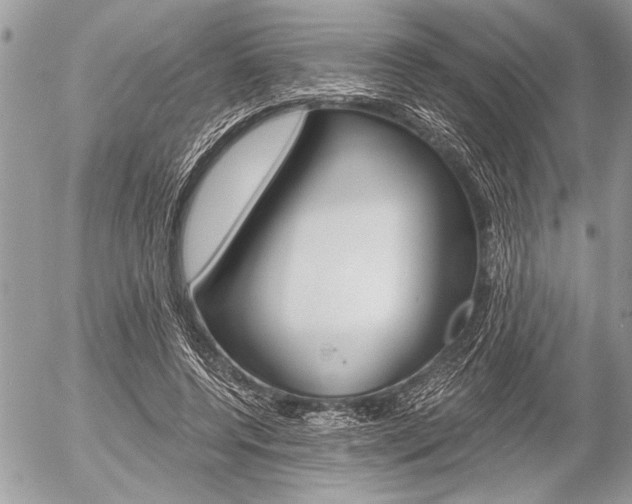 X0000058780544200509300818