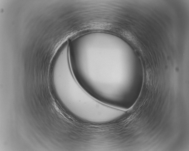 X0000058780580200509300817