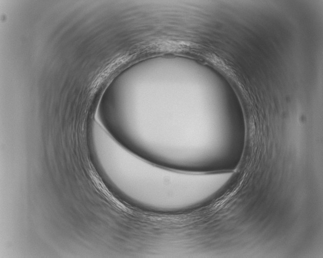 X0000058780581200509300817