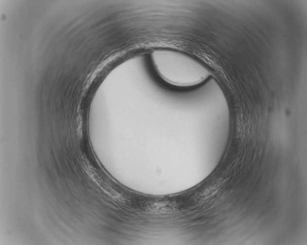 X0000058780584200509300817