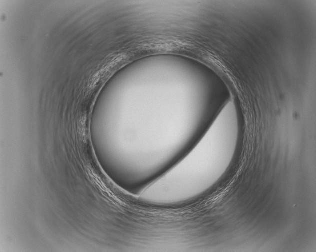 X0000058780585200509300817