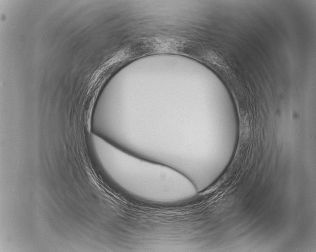 X0000058780587200509300817