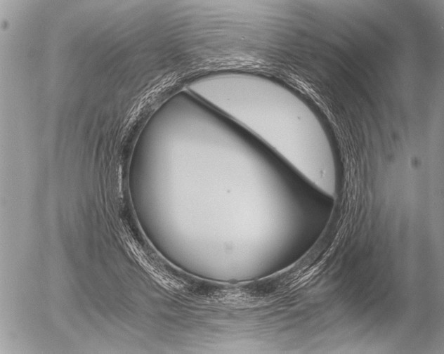 X0000058780589200509300817