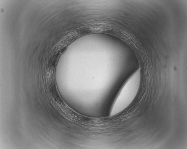 X0000058780601200509300817