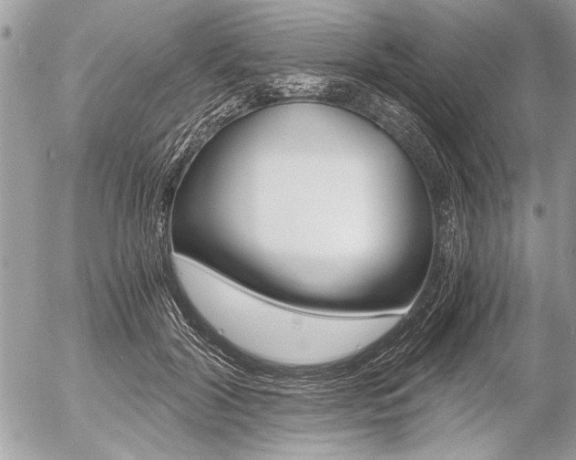 X0000058780604200509300817