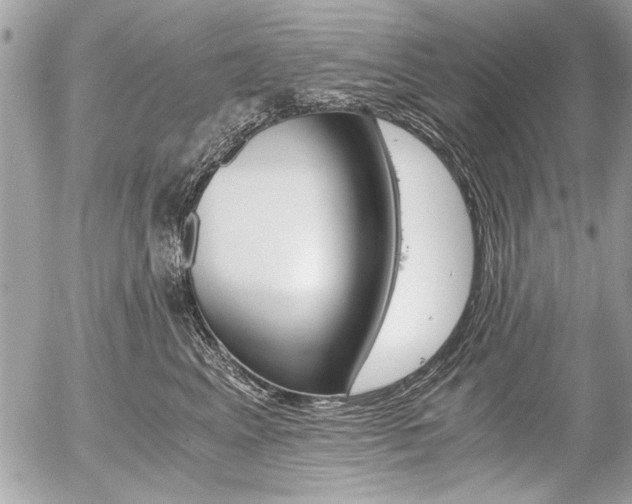 X0000058780617200509300817