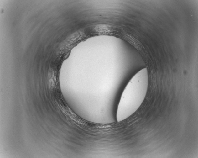 X0000058780618200509300817