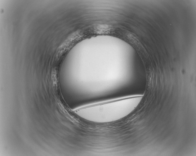 X0000058780620200509300817
