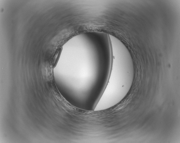 X0000058780624200509300816