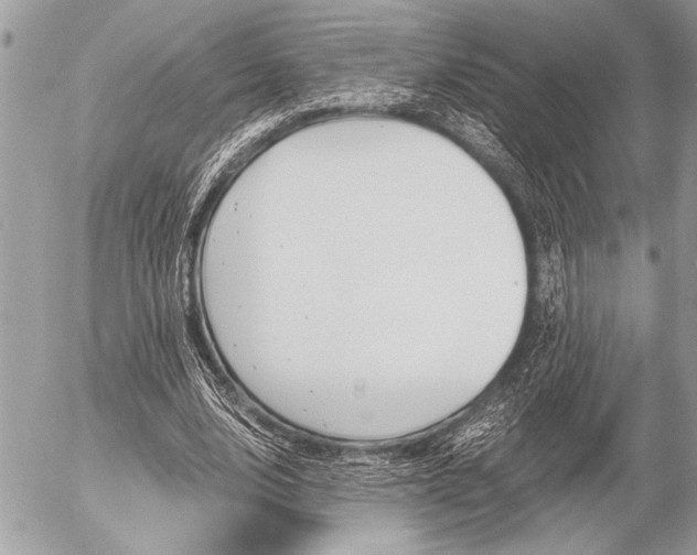 X0000058780632200509300816