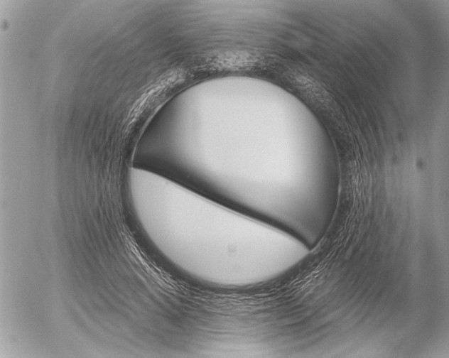 X0000058780640200509300816