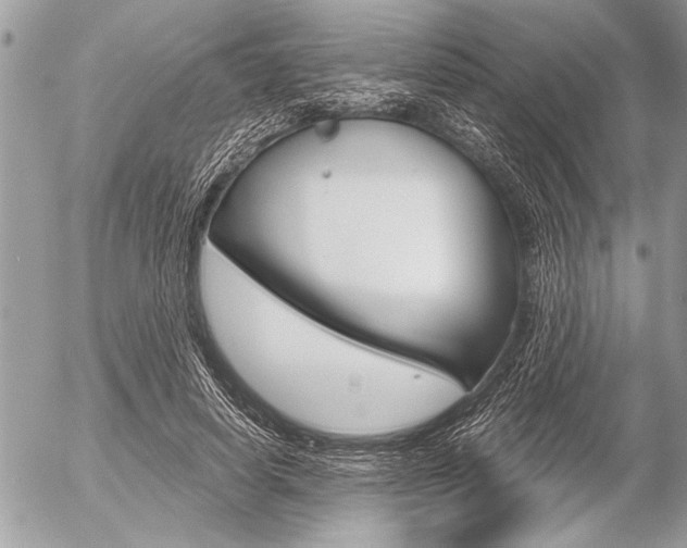X0000058780642200509300816