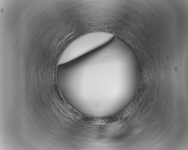 X0000058780656200509300816