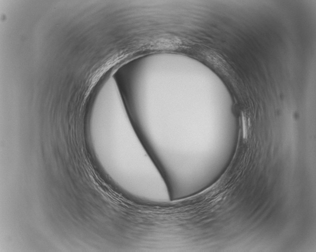 X0000058780675200509300816