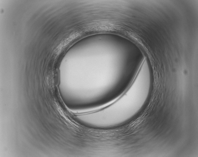 X0000058780677200509300816