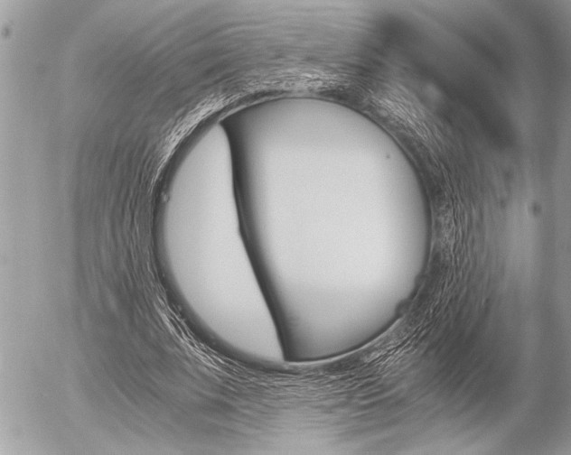 X0000058780679200509300816