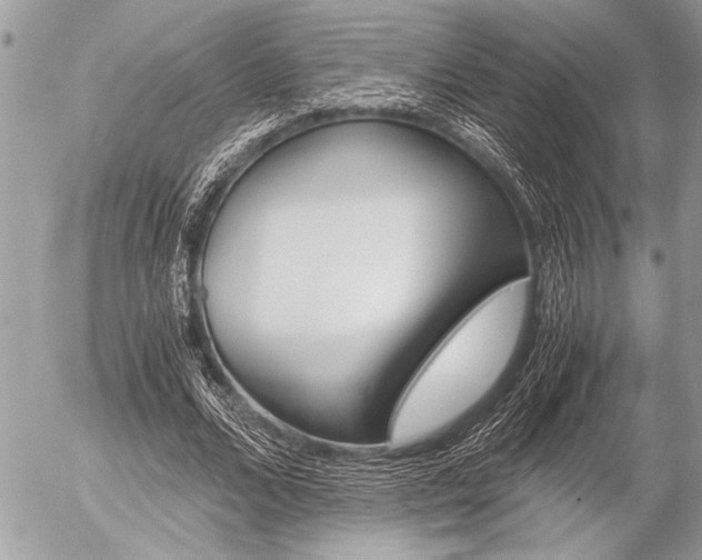 X0000058780680200509300816