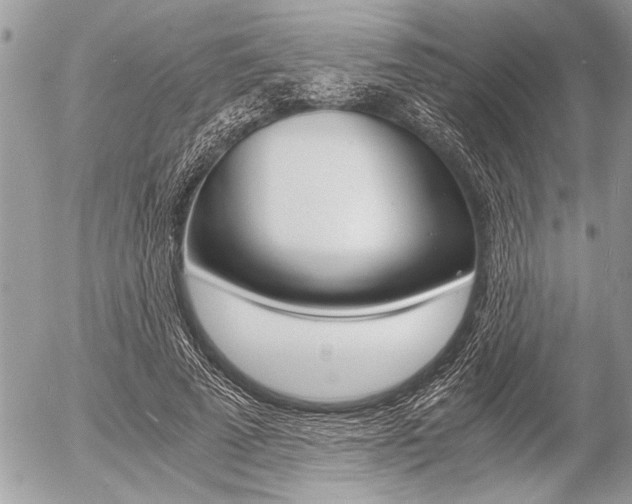 X0000058780689200509300815