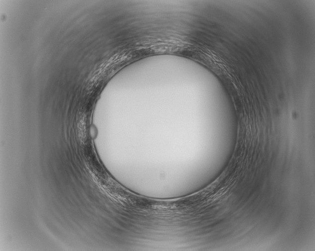 X0000058780690200509300815