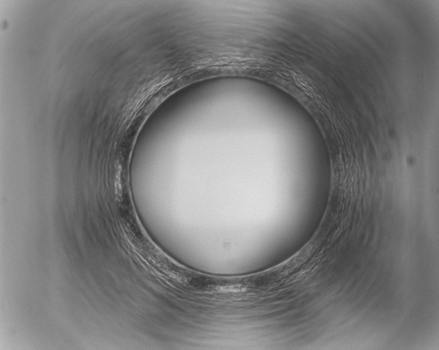 X0000058780692200509300815