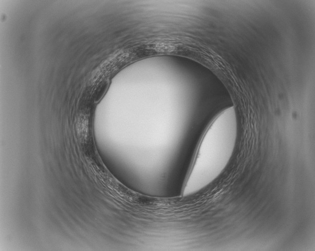X0000058780697200509300815