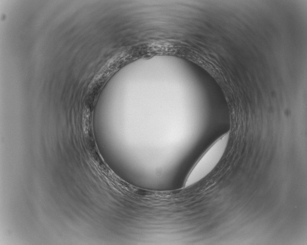 X0000058780712200509300815