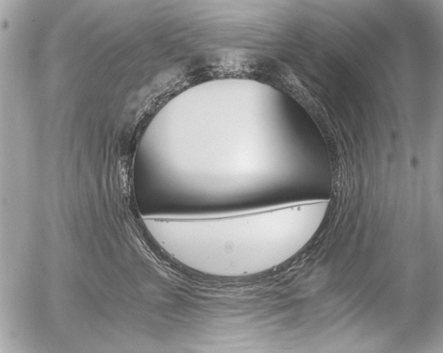 X0000058780715200509300815