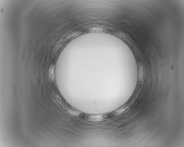 X0000058780717200509300815