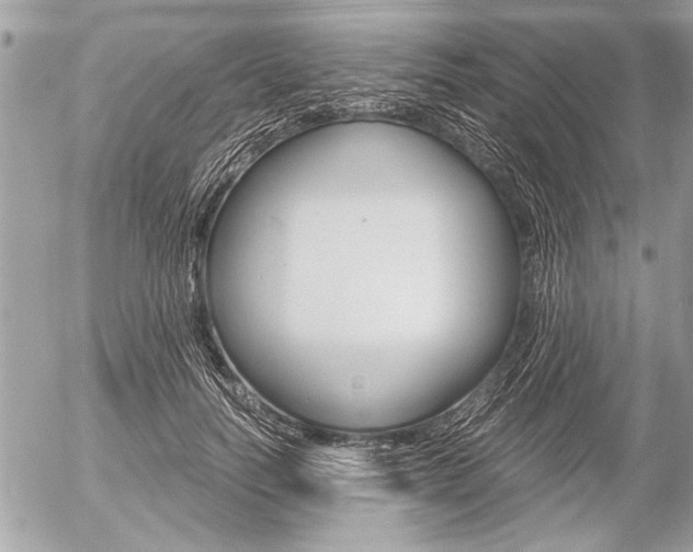 X0000058780746200509300815