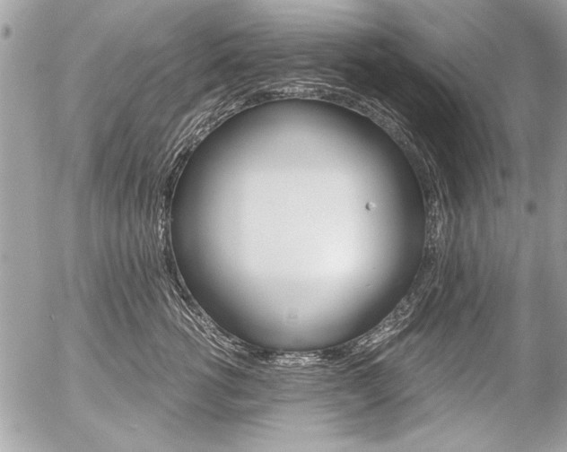 X0000058780762200509300815