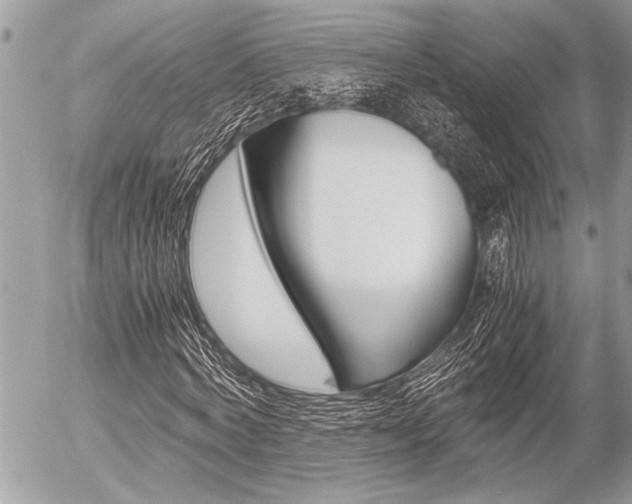 X0000058780772200509300814