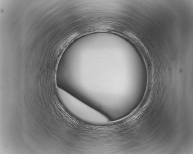 X0000058780785200509300814