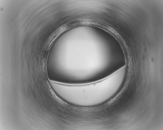 X0000058780801200509300814