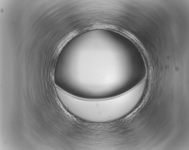 X0000058780809200509300813