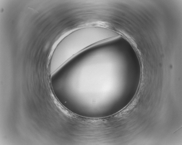 X0000058780816200509300813