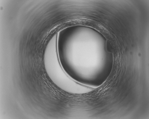 X0000058780822200509300813