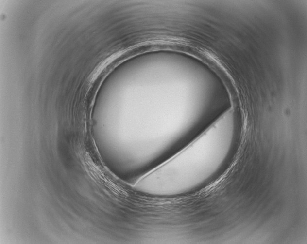 X0000058780829200509300813
