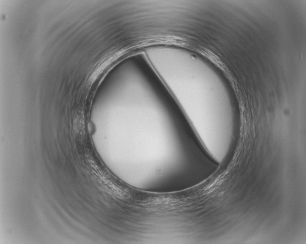 X0000058780834200509300813