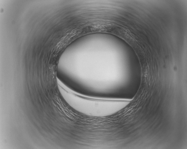 X0000058780868200509300812