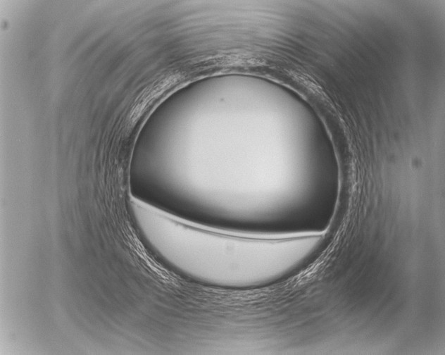 X0000058780881200509300812