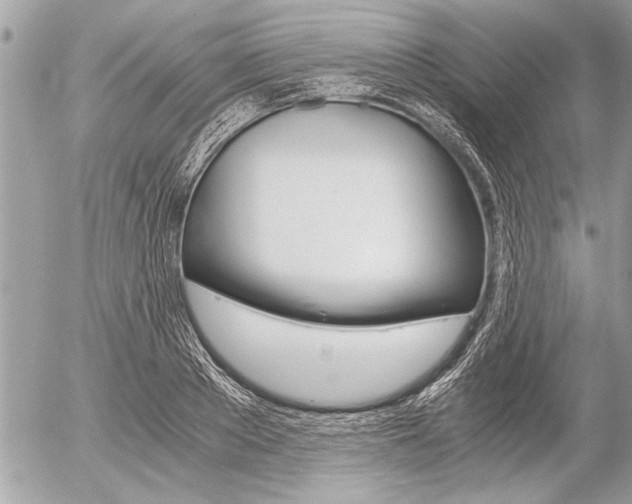 X0000058780889200509300812