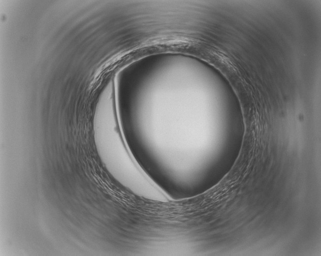 X0000058780920200509300811