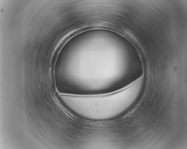 X0000058780932200509300811