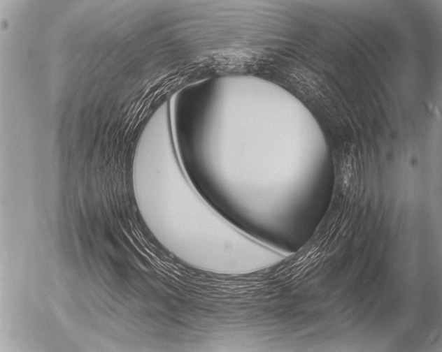 X0000058780964200509300811