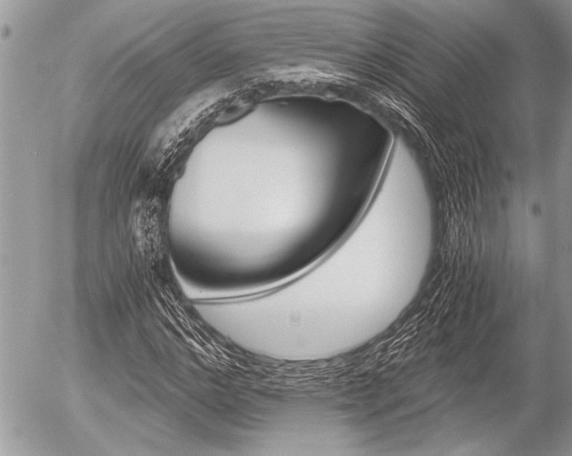 X0000058780968200509300811