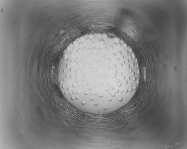 X0000058781059200509300809