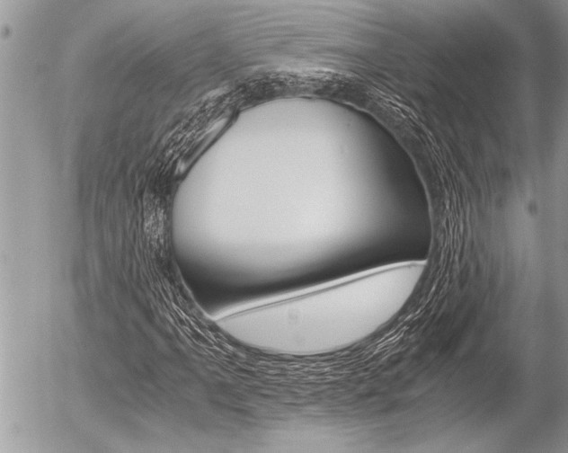 X0000058781061200509300809