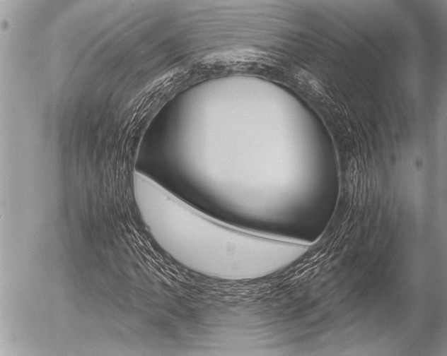X0000058781062200509300809