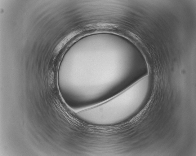 X0000058781066200509300809