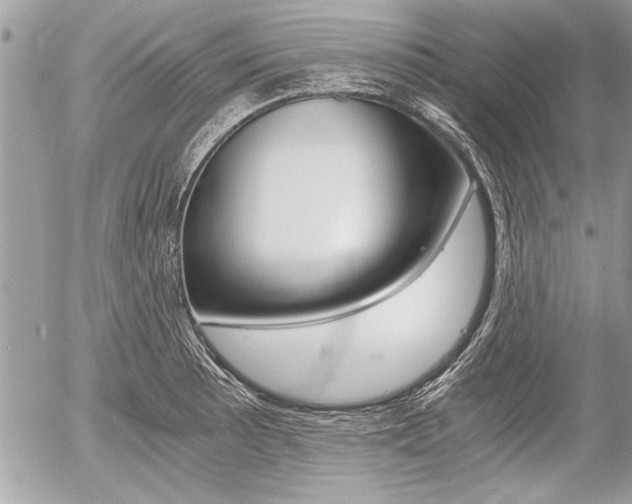 X0000058781089200509300809